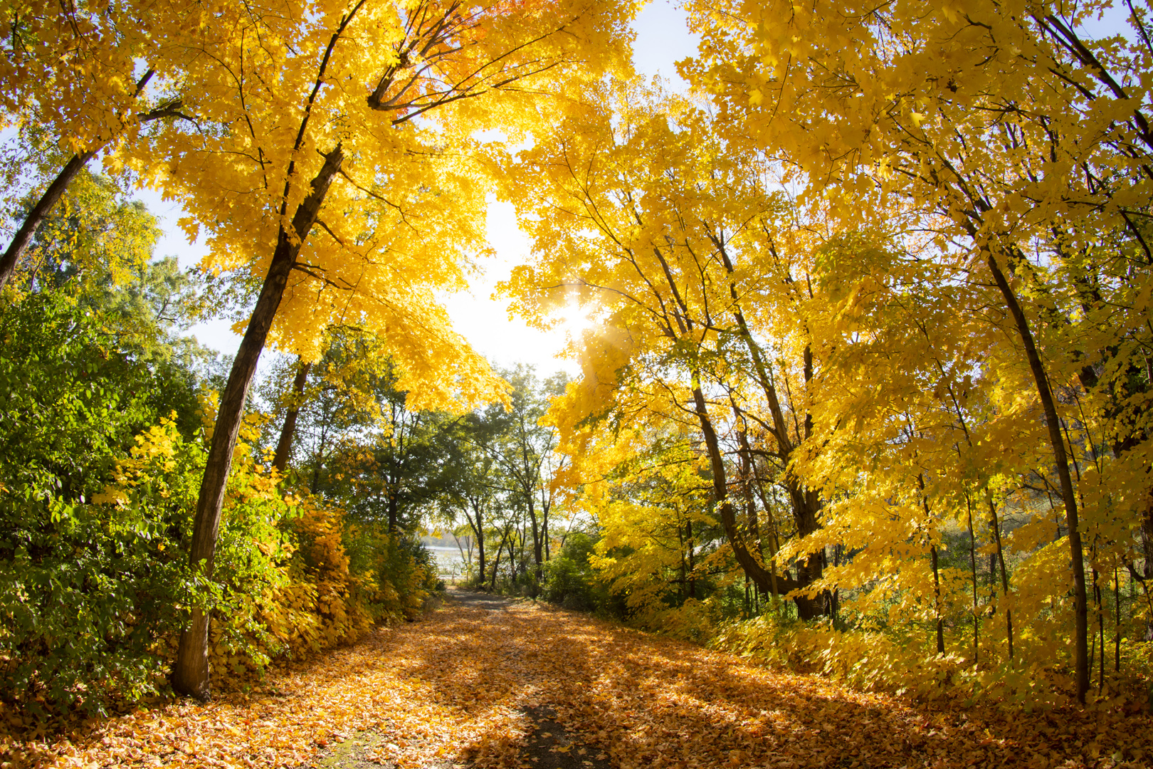 Lost Dauphin Park Fall 2022